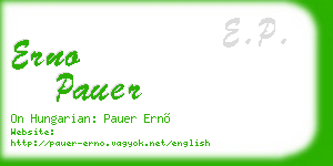 erno pauer business card