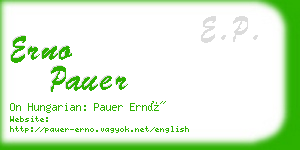 erno pauer business card